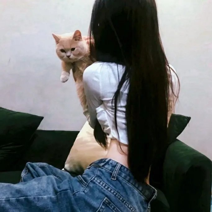 驴子潘趣