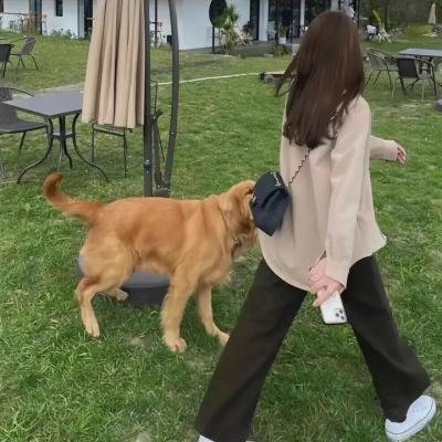 黑色弹珠